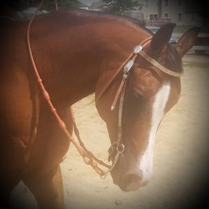 Meet your Posher, Tina